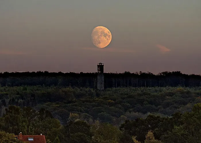 Fichtenwald - Hundefreundlich, Sauna, Pool, Dachterrasse, Wald & See Apartment *